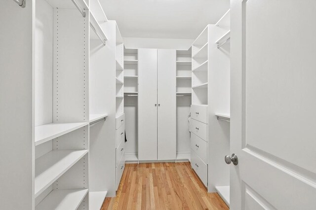 walk in closet featuring light wood finished floors