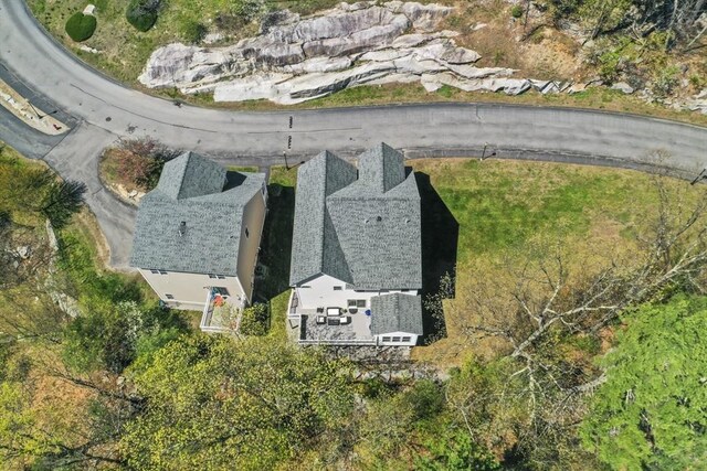 bird's eye view