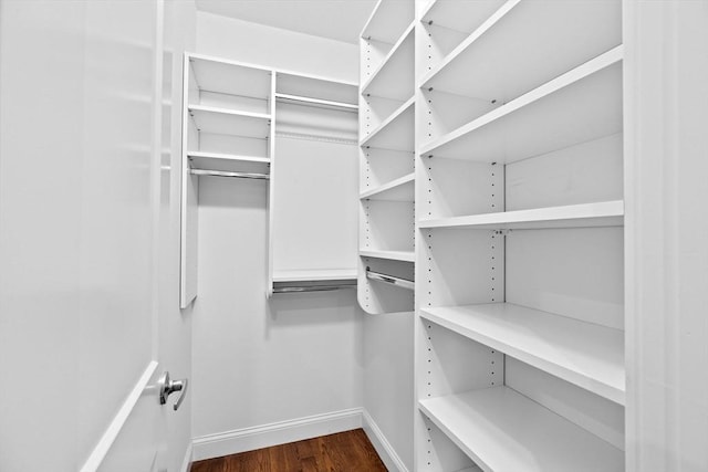 spacious closet with dark hardwood / wood-style flooring