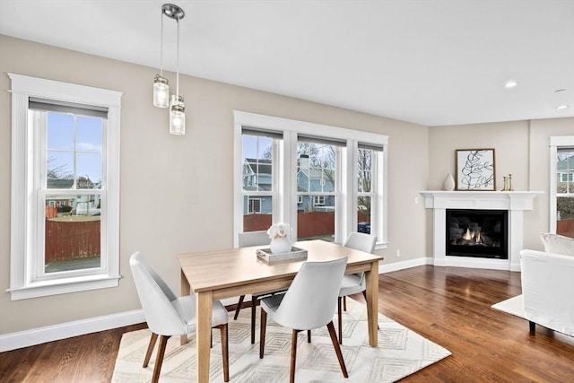 dining room with hardwood / wood-style floors