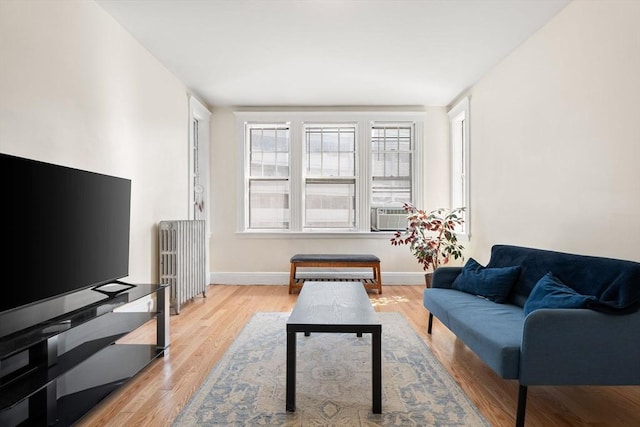 32 Sidlaw Rd Unit 14, Boston, MA 02135 - living room featuring radiator, cooling unit, and light wood-style floors