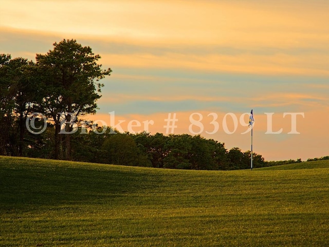 101 Fletcher Unit K, Brewster, MA 02631 - view of grassy yard