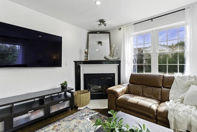 12 Paul Revere Path Unit 12, Hopkinton, MA 01748 - living area with a glass covered fireplace