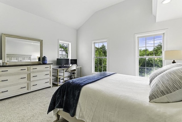 12 Paul Revere Path Unit 12, Hopkinton, MA 01748 - bedroom with lofted ceiling and light colored carpet