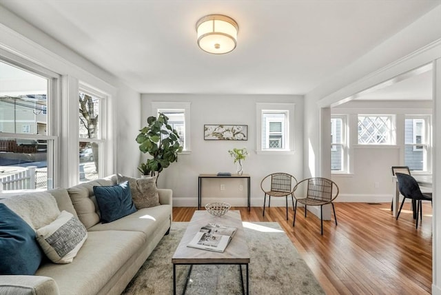 interior space featuring baseboards, a wealth of natural light, and wood finished floors