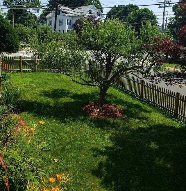 view of yard featuring a fenced backyard
