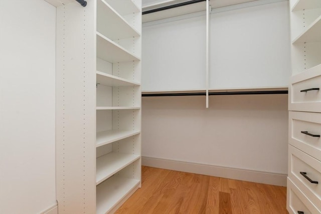 spacious closet with light wood-type flooring