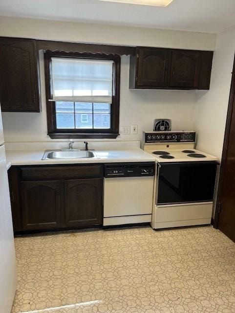 kitchen featuring a sink, light countertops, dark brown cabinetry, and white appliances