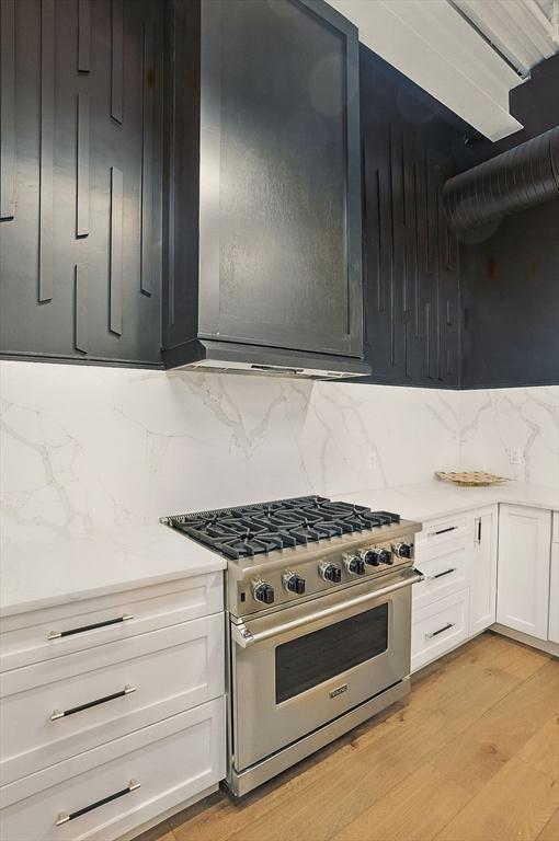 147 Sherman St Unit 201, Cambridge, MA 02140 - kitchen with stainless steel range, tasteful backsplash, light wood-style flooring, white cabinetry, and light countertops