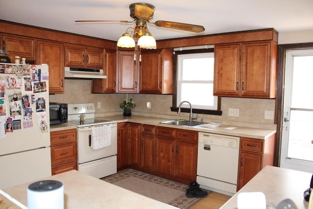 kitchen with plenty of natural light, a sink, under cabinet range hood, and white appliances