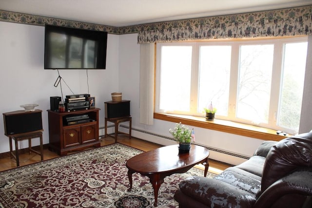 living room featuring wood finished floors