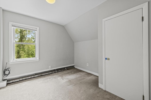 32 Dale St, Franklin, MA 02038 - additional living space featuring carpet flooring and lofted ceiling