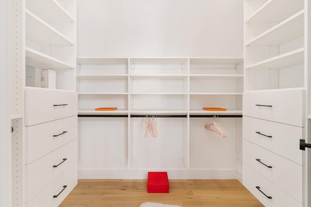 spacious closet featuring light wood-type flooring