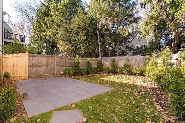 view of yard with a patio area