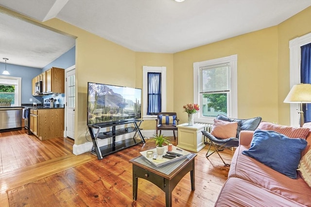 23 Starbird St, Lowell, MA 01854 - living area featuring light wood finished floors and radiator heating unit