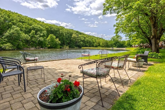 14 Hillcrest Park Unit 14, South Hadley, MA 01075 - view of patio with a water view and a wooded view