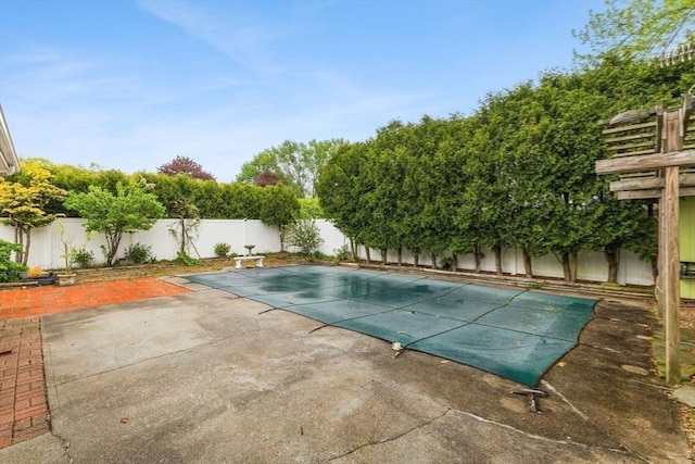 view of pool featuring a fenced backyard and a patio area