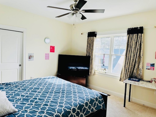 6 Comanche Ter Unit 6, Westford, MA 01886 - bedroom with carpet and a ceiling fan