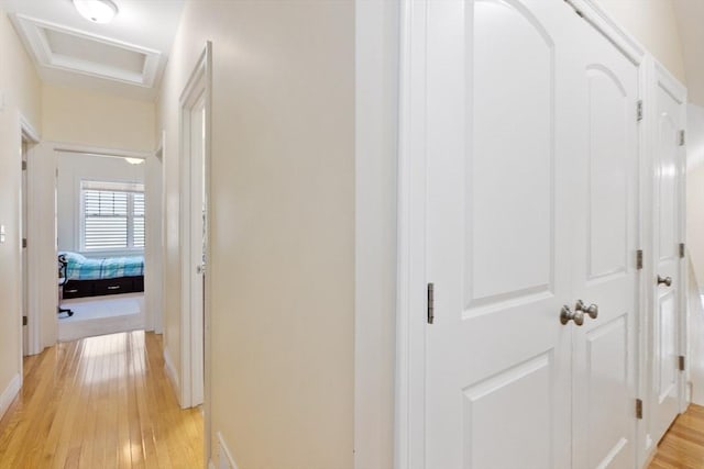 6 Comanche Ter Unit 6, Westford, MA 01886 - hall featuring light wood finished floors and attic access