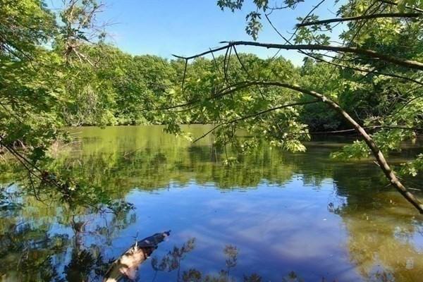 33 Pond Ave Unit Ph1207, Brookline, MA 02445 - water view featuring a forest