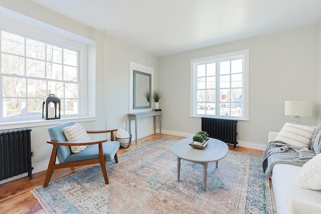 living room with radiator, a healthy amount of sunlight, and light hardwood / wood-style floors