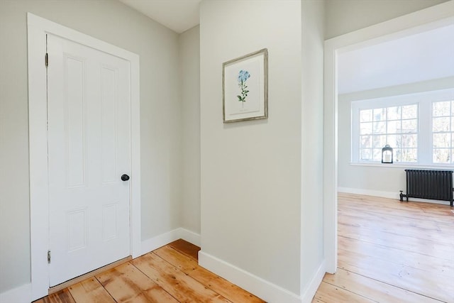 hallway with radiator and light hardwood / wood-style flooring