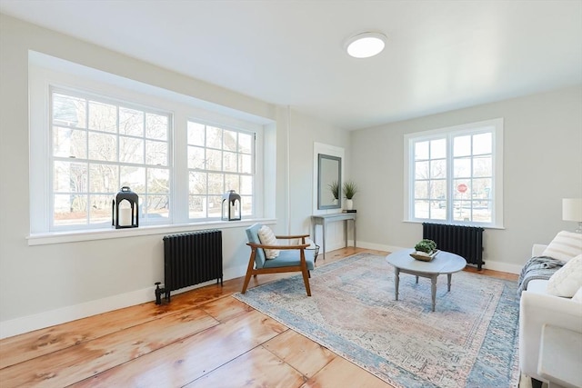 living area featuring radiator heating unit and light hardwood / wood-style floors