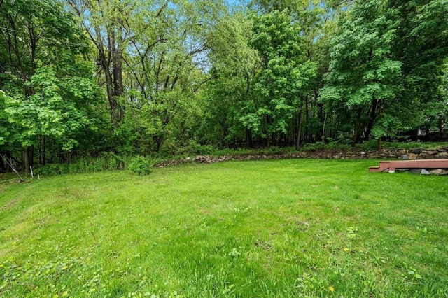 45 Dillon St, Worcester, MA 01604 - view of grassy yard