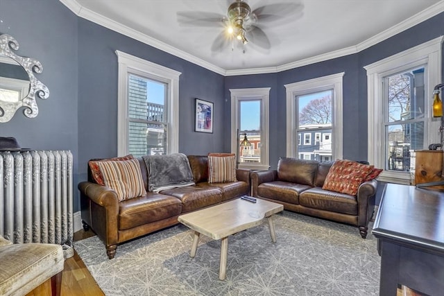 living room with radiator, wood-type flooring, ornamental molding, and ceiling fan