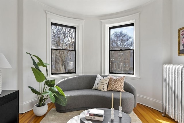 living area with plenty of natural light, radiator heating unit, and wood finished floors