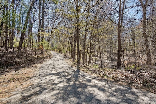 view of street with a wooded view