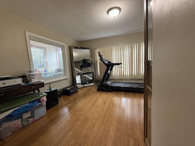 exercise area featuring wood finished floors