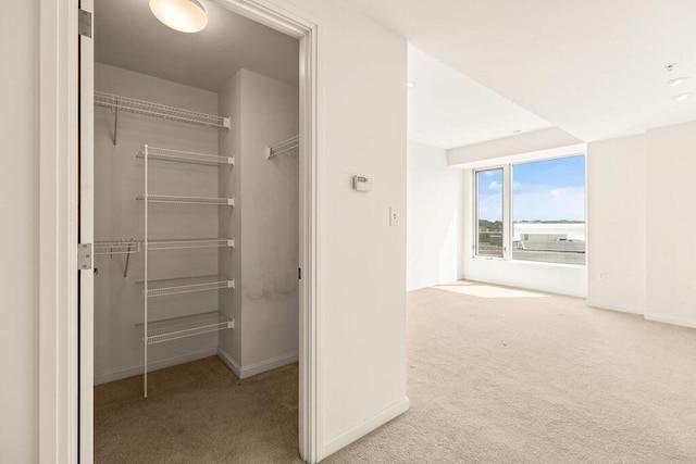 10 Nouvelle Way Unit S703, Natick, MA 01760 - view of closet