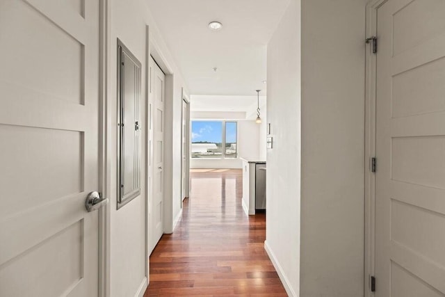 10 Nouvelle Way Unit S703, Natick, MA 01760 - hall with wood finished floors and baseboards