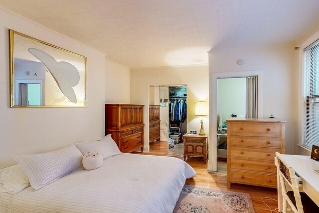 bedroom with wood finished floors, a closet, and a spacious closet