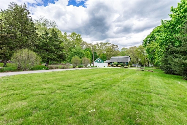 view of green lawn