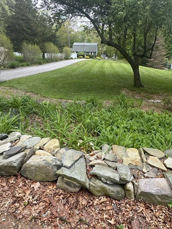 view of grassy yard