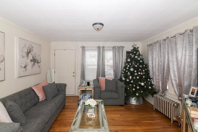 living room featuring hardwood / wood-style flooring, crown molding, and radiator