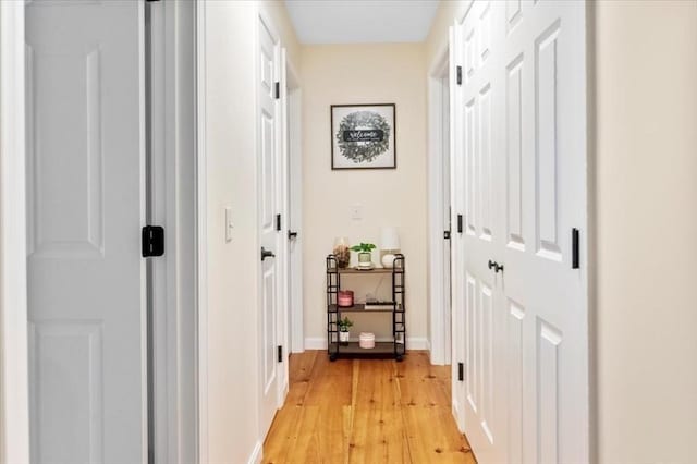 1085 Southbridge Rd, Warren, MA 01585 - hallway with light wood-style floors and baseboards