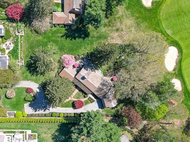 drone / aerial view