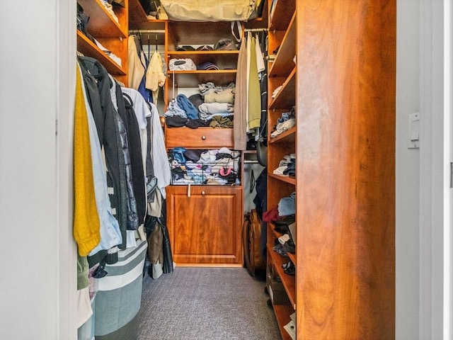 150 Cambridge St Unit 403, Cambridge, MA 02141 - walk in closet with carpet flooring