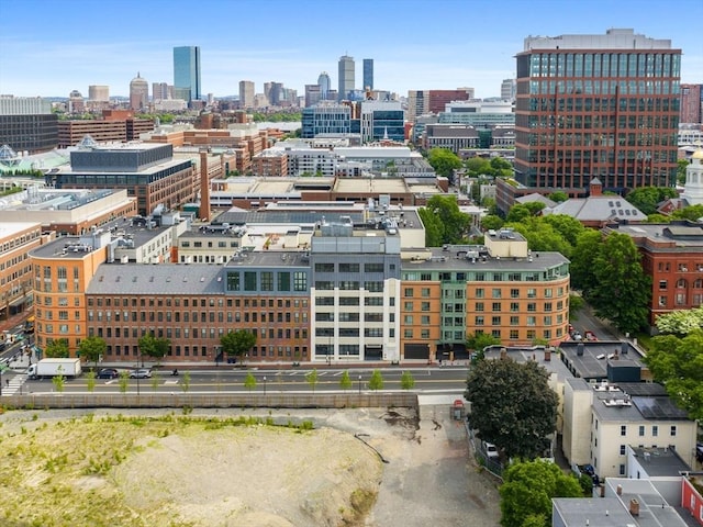 150 Cambridge St Unit 403, Cambridge, MA 02141 - view of city skyline