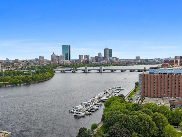 150 Cambridge St Unit 403, Cambridge, MA 02141 - water view with skyline and a notable bridge