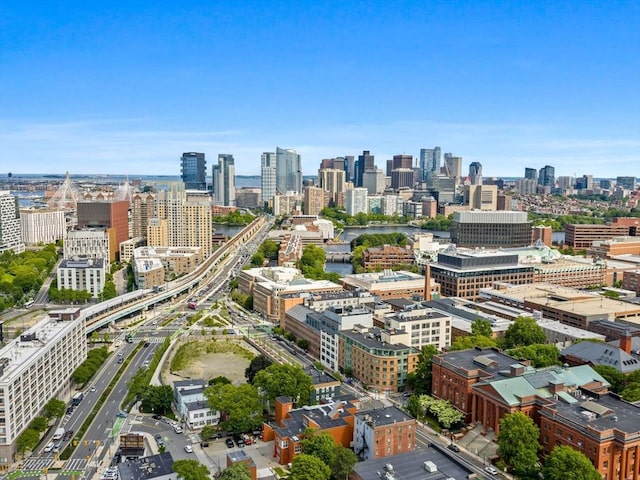 150 Cambridge St Unit 403, Cambridge, MA 02141 - view of city skyline
