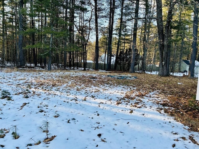 view of yard covered in snow