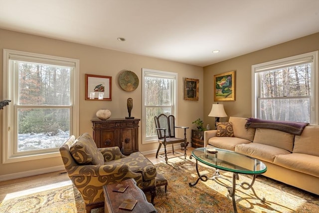 living room with light hardwood / wood-style flooring