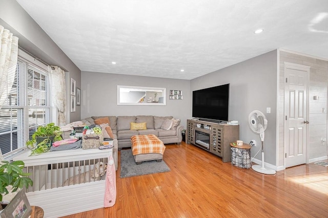 15 Alton St Unit 16, Lowell, MA 01852 - living area featuring light wood-style floors, baseboards, and recessed lighting