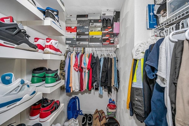 15 Alton St Unit 16, Lowell, MA 01852 - view of spacious closet