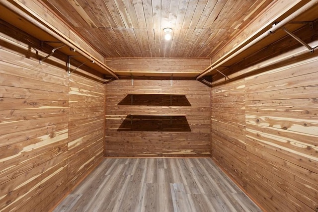 spacious closet with hardwood / wood-style flooring