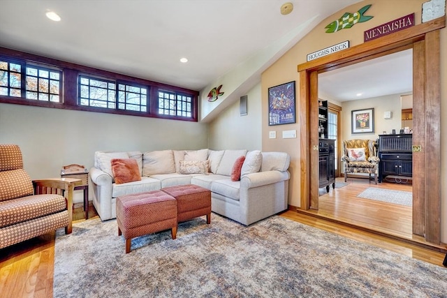 living room with wood-type flooring, lofted ceiling, and a healthy amount of sunlight